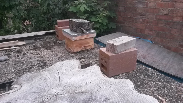 Three of my mating nucs and I have three different designs two bought apideas and two different homemade designs and in total I have nine mating nucs and wonder in time if they will increase.  